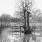 Askham Bryan Village Pond